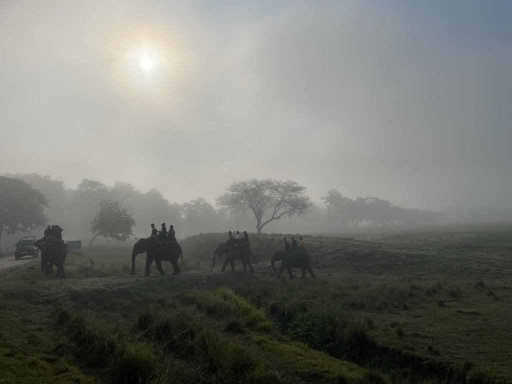 Elephant Safari in Kaziranga