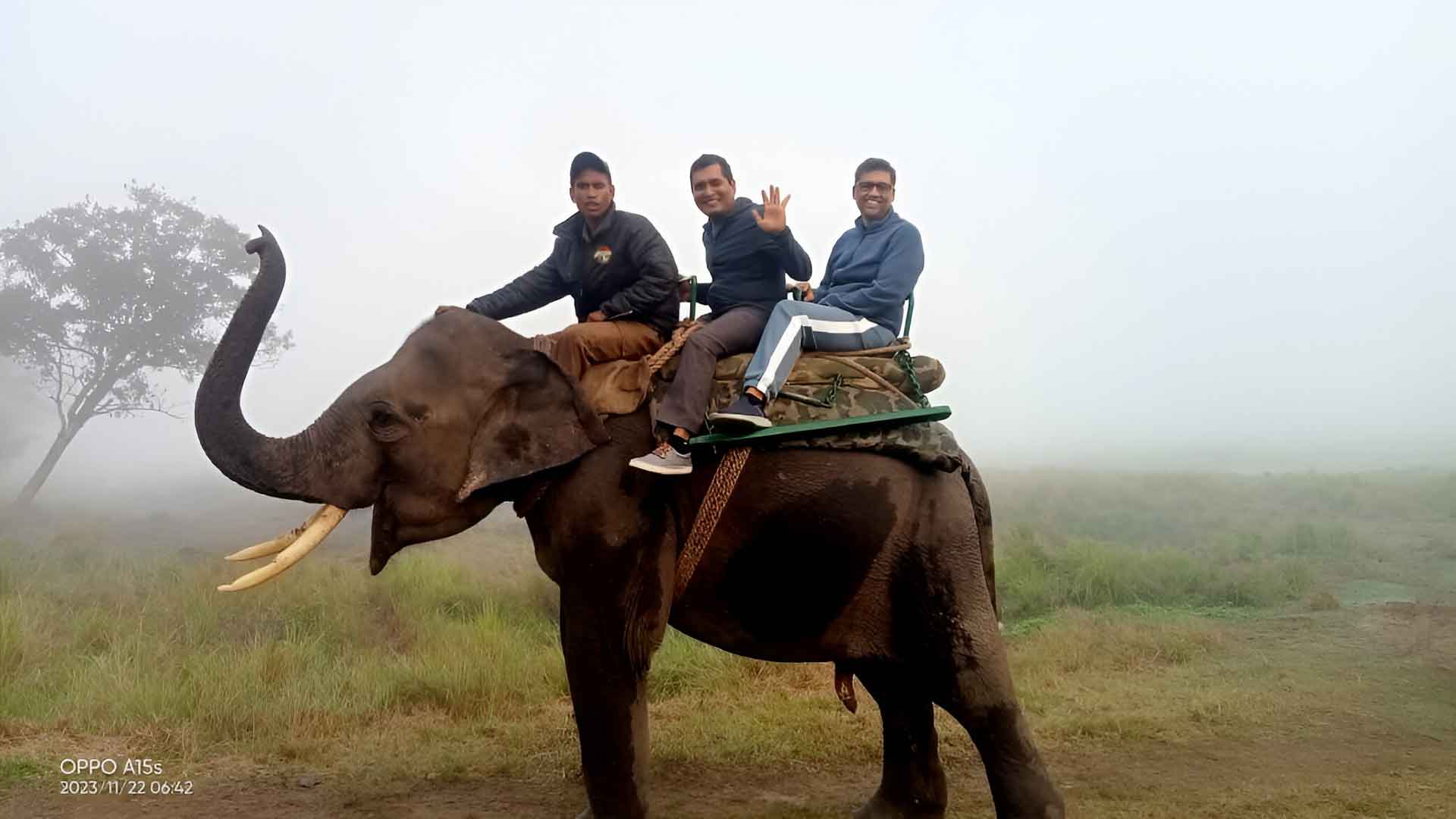 Elephant Safari in Kaziranga